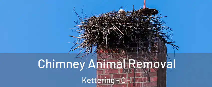 Chimney Animal Removal Kettering - OH