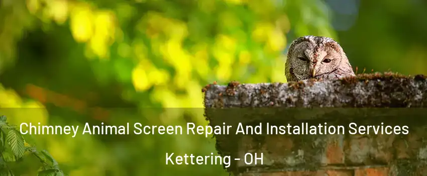  Chimney Animal Screen Repair And Installation Services Kettering - OH